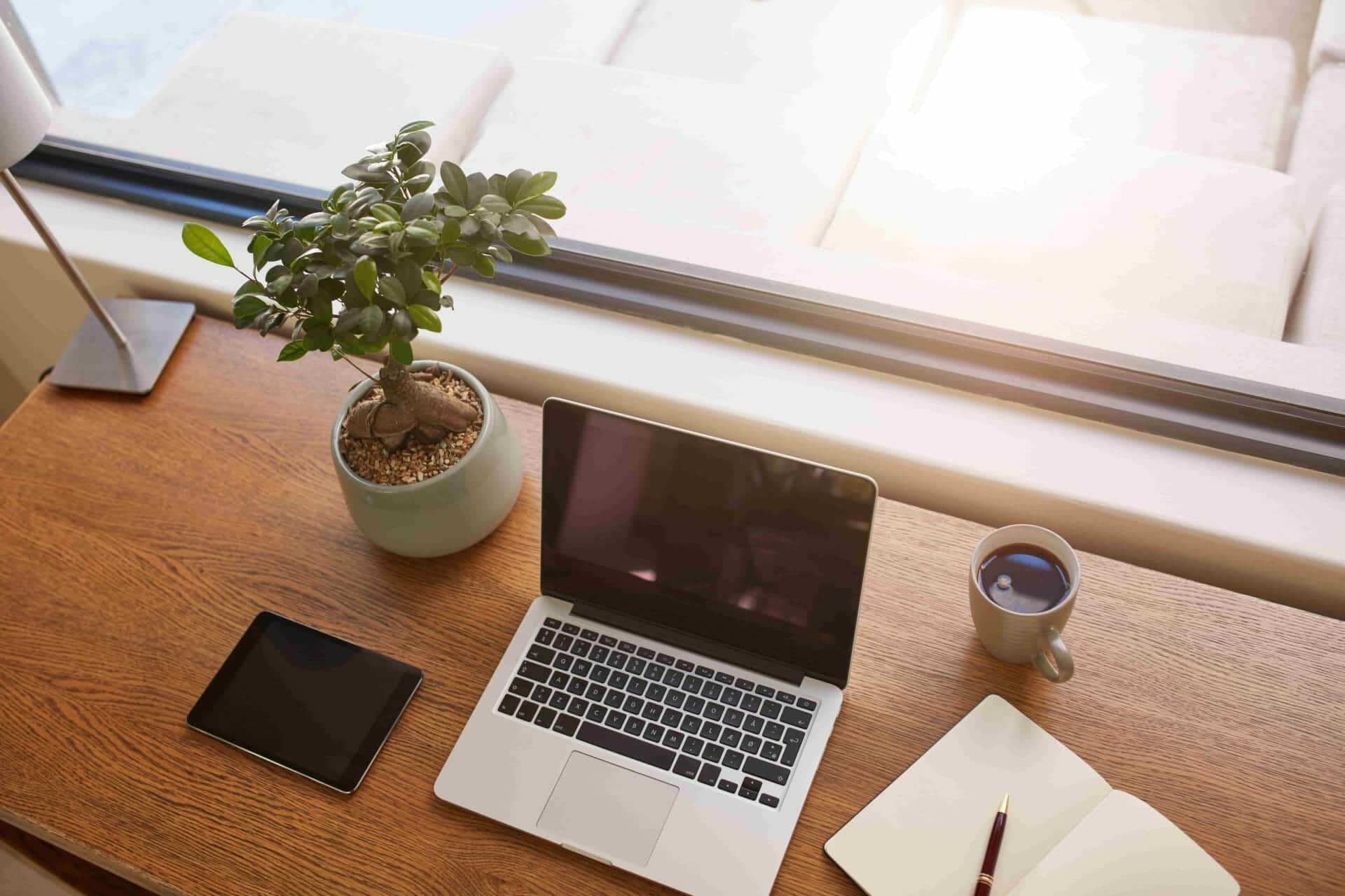 A laptop on a desk next to a plant and a notebook.