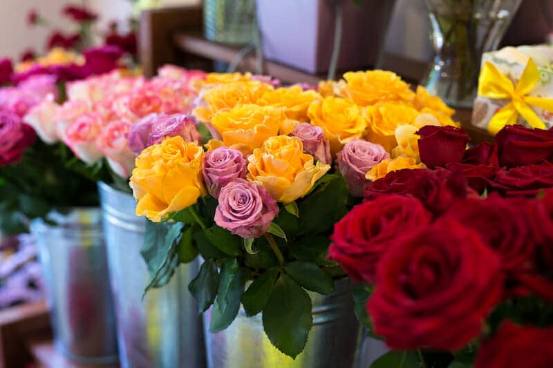 A variety of roses in metal buckets on a table.