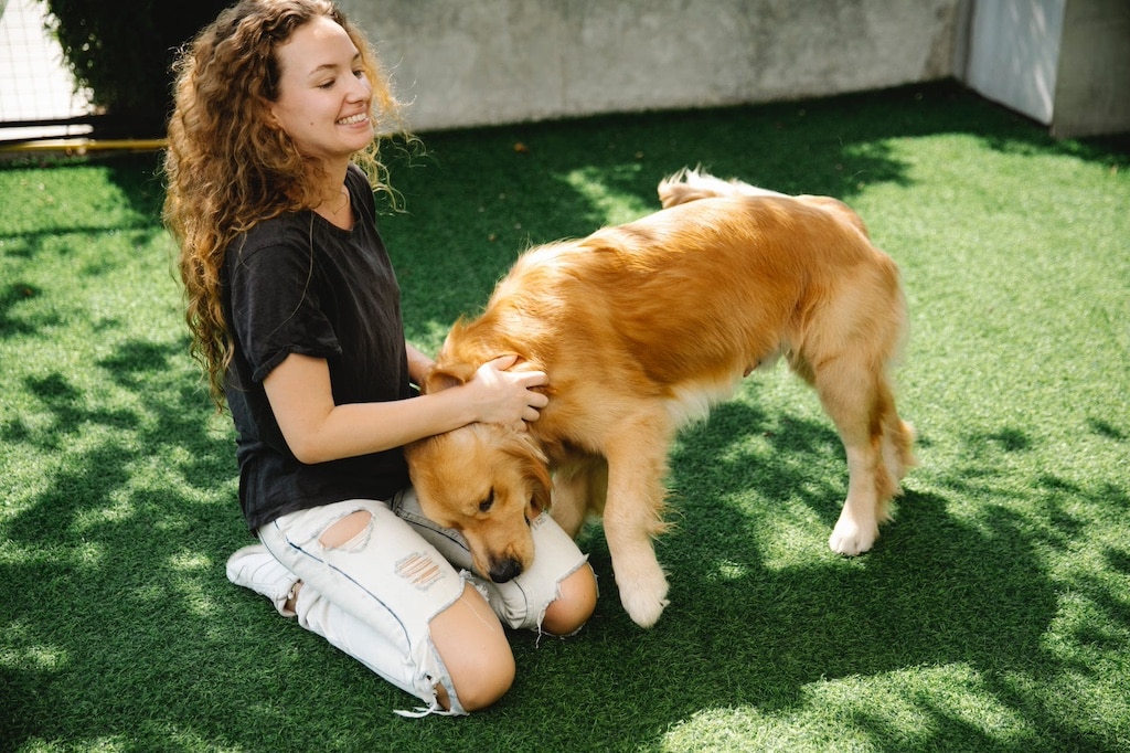 A young woman petting a golden retriever on the grass.